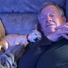 This little dog can come to the u.k. Contact the rescue.