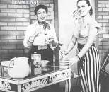 Resultado de imagen para "la perfecta ama de casa"