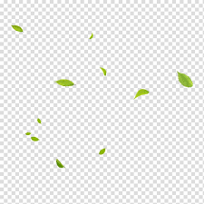 Fall Leaves Transparent Background Png Cliparts Free Download Hiclipart If you like, you can download pictures in icon format or directly in png image format. fall leaves transparent background png