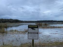 We did not find results for: Fort Cooper State Park Inverness 2021 All You Need To Know Before You Go With Photos Inverness Fl Tripadvisor