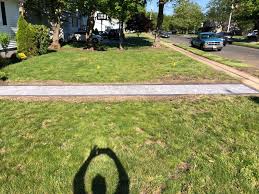 Lawn and landscaping crew members needed immediately. Executive Lawn Care And Landscaping Home Facebook