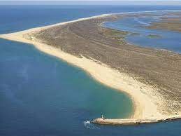 Animaris ilha deserta, faro (faro, portugal). Iiha Deserta Barreta