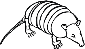 Armadillo coloring page from armadillos category. Cute Armadillo Coloring Pages In 2021 Coloring Pages Animal Coloring Pages Armadillo