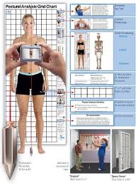 Postural Analysis Chart Wall Door Body Chart Spine