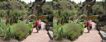 Dies dient dem schutz der kinder und der zahlreichen. Botanischer Garten Gran Canaria 3d Kreuzblick Foto Bild World Spezial Baume Bilder Auf Fotocommunity