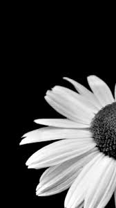 We did not find results for: Download Wallpaper Black And White Tumblr Hd Cikimm Com