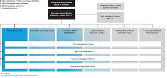 organisation chart company profile holding company