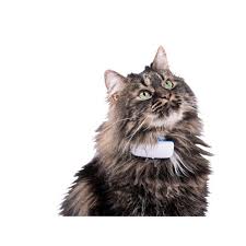 Bis zu eine position alle zehn sekunden. Tractive Gps Tracker Ikati Katze Gps Bestellen