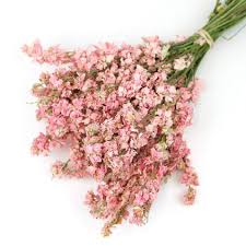 The more you buy, the less you pay. Dried Flowers Lsf
