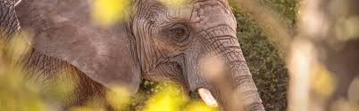Find the perfect erfurt zoo stock photos and editorial news pictures from getty images. Eintrittspreise Zoopark Erfurt