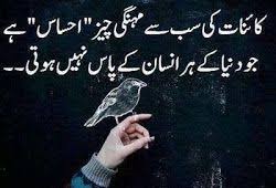 Urdu Quote Dp For Whatsapp N Facebook Urdu Quotes Quotes For Dp Urdu Simply click on the latest worldwide islamic links and join us. urdu quote dp for whatsapp n facebook