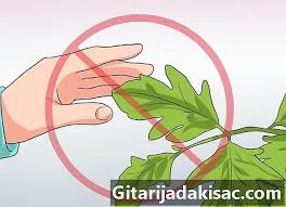 Mungkin sebagian dari anda belum mengenal segmentasi pasar dengan pasti. Bagaimana Untuk Mengenal Pasti Sumac Barat Pengetahuan 2021