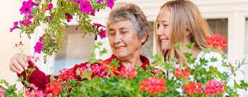 I am a registered interior designer with the state of texas my company, signature home services, is the first and only nari accredited remodeling firm in the. Signature Agency Home Care Services