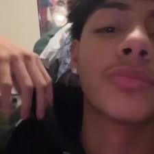 Mejor personaje de chat de IA Willow Wolf(Roblox: Explora perfiles y  comentarios de usuarios