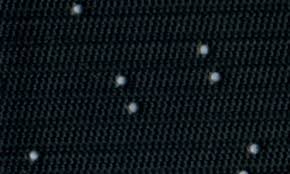 Image result for Black 1969 Polara