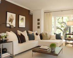 C B I D Home Decor And Design Accent Walls Accent Walls In Living Room Brown Living Room Living Room Color