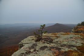 We did not find results for: Category Cloudland Canyon State Park Hiking The Appalachians And Beyond