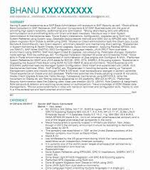 sap ariba senior consultant resume