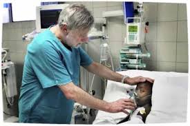 You can click these links to clear your history or disable it. Il Foglietto Della Ricerca Emergenza Sanitaria In Calabria Chi Ha Paura Di Gino Strada