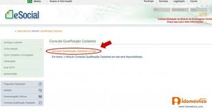 Dicas de educação financeira, avaliação de cartões de crédito e produtos financeiros. Esocial Libera Qualificacao Cadastral Para Domesticos