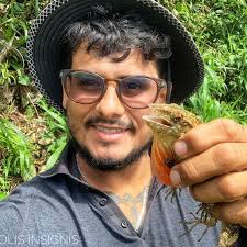 Encuentro con el Tolomuco: el gran pariente del turón