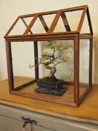 Diy La Mini Serre A Faire Soi Meme La Fee Caseine En 2020 Mini Serre Serre Bricolage Mini Serre Interieur