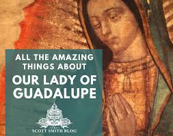 All the Amazing Things about Our Lady of Guadalupe: The Essential Guide to  Our Lady of Guadalupe