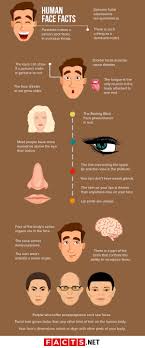 Learn the human body and face parts names in english with the help of the youngest grammarbank team member. 40 Surprising Facts About The Human Face You Have To See