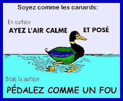 R&Atilde;&copy;sultat de recherche d'images pour 