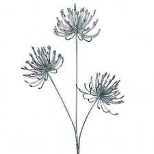 Artificial Agapanthus Flower Drawing Aster Tattoo Flowers