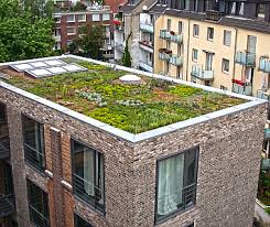84,51 % empfehlungsrate 10 bewertungen auf 3 portalen. Luca S Gala Gartenbau