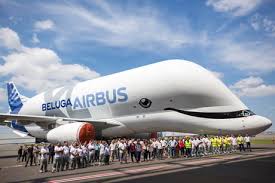 The airbus belugaxl which entered service on january 9, 2020 is a large transport aircraft based on the airbus a330 airliner. Airbus Has A Plane Called The Belugaxl That Is Designed To Look Like A Whale 9gag