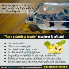Bir Su Bardagi Suya 15 20 Tane Cekirdek Atip 1 Gun Bekletilerek Jel Elde Edilmis Olur Saglik Saglik Saglikhaberleri Health Natural Health Health And Beauty