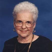 Daniel Straw's Instagram, Twitter & Facebook