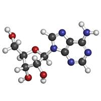 Adenosine triphosphate (atp) is a central metabolite that plays fundamental roles as an energy transfer molecule, a phosphate donor, and . Atp Adenosine Triphosphate Health Benefits Of Atp