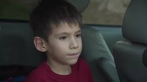 How orphaned bear cubs are rehabilitated to be released back into the wild