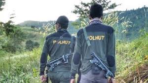 We did not find results for: Gubri Polhut Riau Perlu Pembenahan