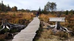Lotharpfad Baiersbronn Aktuelle 2019 Lohnt Es Sich Mit Fotos Ausflugsziele Schwarzwald Romantischsten Orte Ausflug