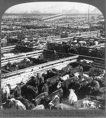 The Union Stock Yards Chicago In Operation From 1865 To 1971 Peaking In 1924 From 1865 To The 1920s The Stock Yards Processed More Meat Than Any Place In T