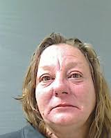 The Schodack SCENE: Blotter