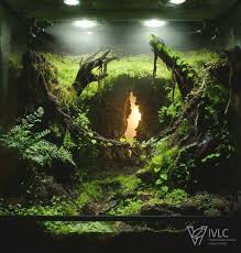 Terrarium Aquarium Landscape Nature Aquarium Vivarium