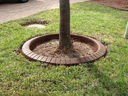 Perfect Circle Tree Ring Brick Stamp Landscaping Around Trees Around Tree Lawn And Garden