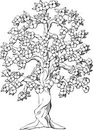 We have collected 40+ tree mandala coloring page images of various designs for you to color. Dogwood Tree Tattoo Tree Coloring Page Tree Drawing Flower Coloring Pages