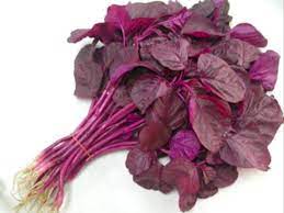 Bayam sendiri dalam bahasa latin sering disebut dengan amaranthus yang berasal dari amerika. Tinggi Nutrisi Inilah Kebaikan Bayam Merah Untuk Kesehatan Indozone Id