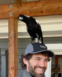 Selected highlights from our special VGNP trio set livestream at Rogue  Summerfest 2025! Several firsts: we tried out a drum machine, I did some  new numbers, @2_schmese_4u premiered one of his songs,