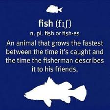 Le seuil nombre de pages: Maverick Fishing Charters Llc Maverickfishing Profile Pinterest