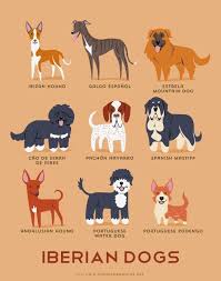 Dog Breeds Print Dutch Dogs Art Print Dog Breeds From The Etsy In 2021 Dog Breeds Estrela Mountain Dog Dogs Of The World