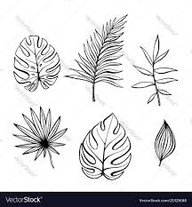 Hojas hawaianas moldes a collection of the top hojas hawaianas moldes wallpapers and backgrounds available. Hand Drawn Branches And Leaves Of Tropical Plants Vector Image On Dibujos Hojas Manos Dibujo Plantas Tropicales