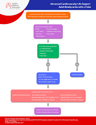 After every 2 minutes of cpr, check for a pulse and check the cardiac rhythm. Acls Algorithms 2020 Advanced Cardiac Life Support