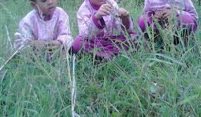 Menggunakan kurikulum tingkat satuan pendidikan yang mengacu ke kementerian pendidikan dan. Mata Pelajaran Agribisnis Tanaman Pangan Dan Holtikultura 3 Tahun Wasito Info